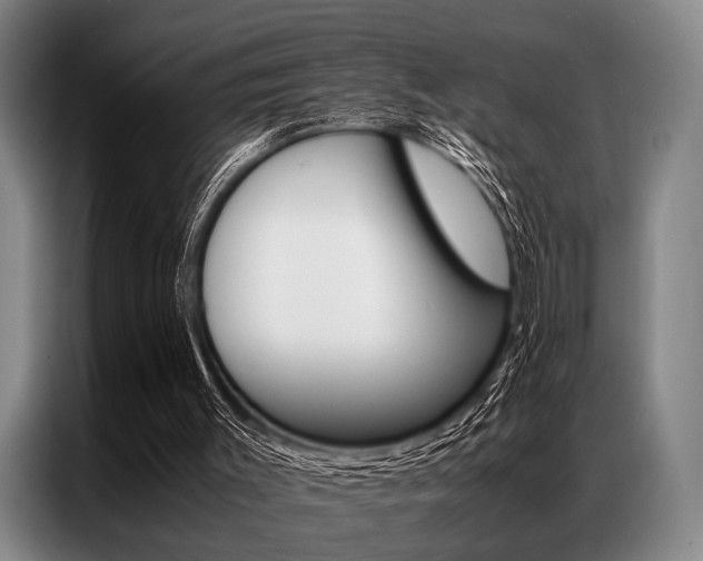 X0000087310003200704200728