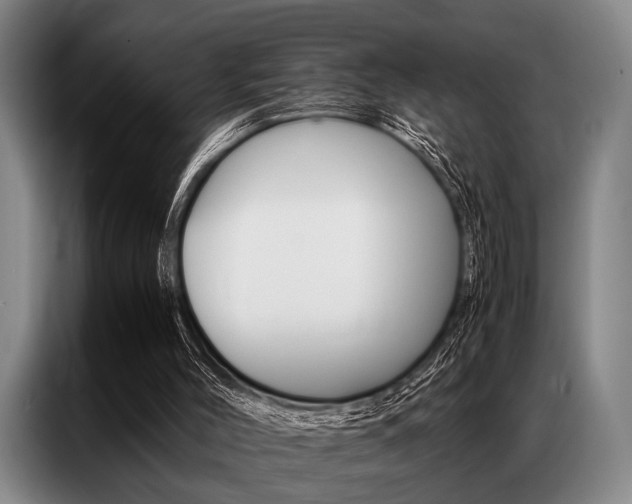 X0000087310004200704200728