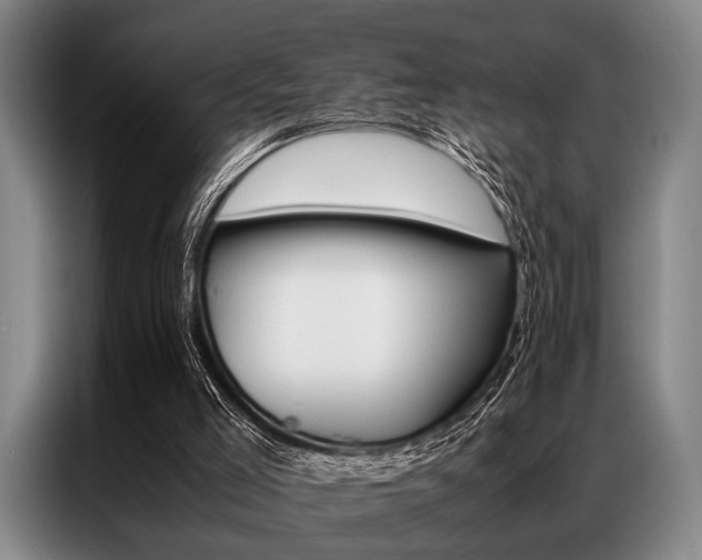 X0000087310005200704200728