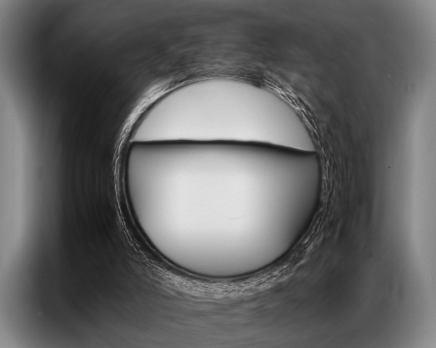 X0000087310006200704200728