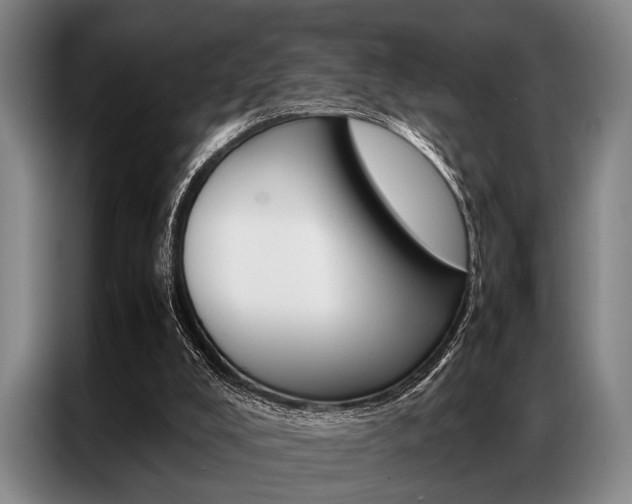 X0000087310008200704200728
