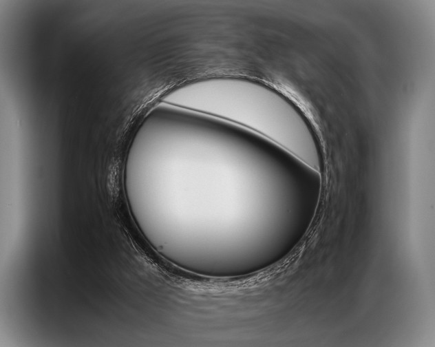 X0000087310009200704200728