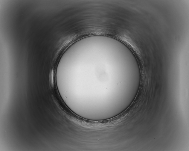 X0000087310014200704200727