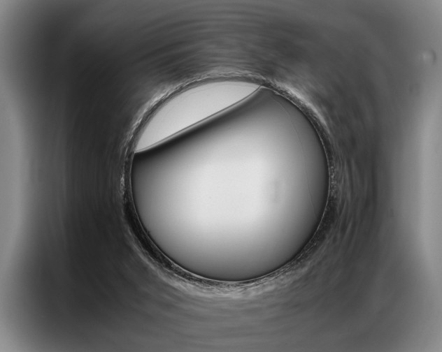 X0000087310015200704200727