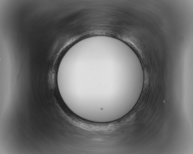 X0000087310016200704200727