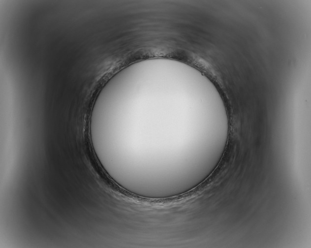 X0000087310018200704200727