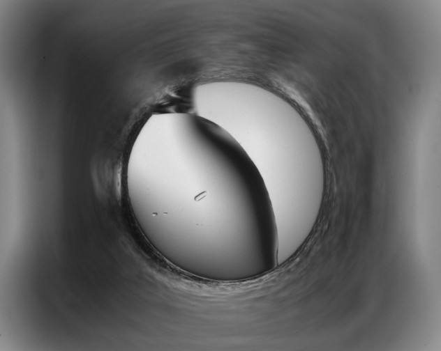 X0000087310019200704200727
