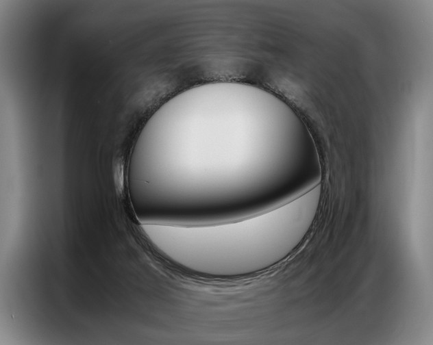 X0000087310021200704200727
