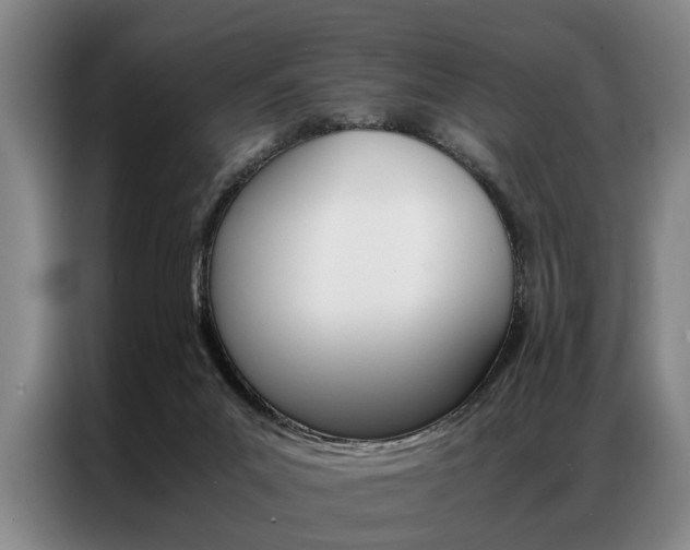 X0000087310023200704200727