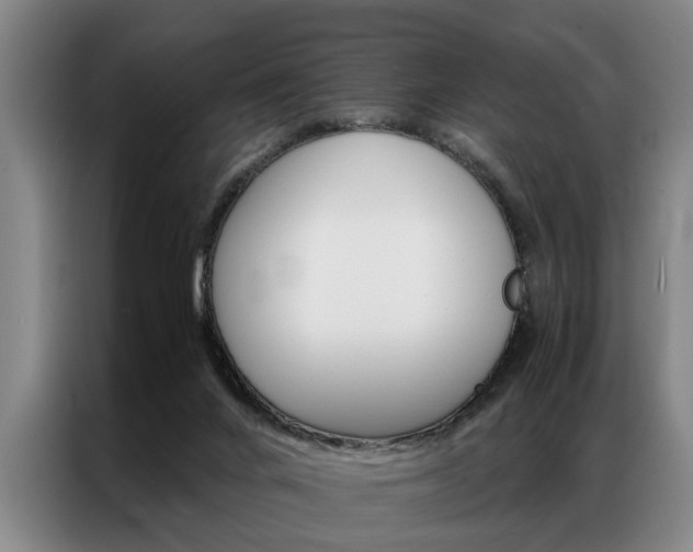X0000087310024200704200727