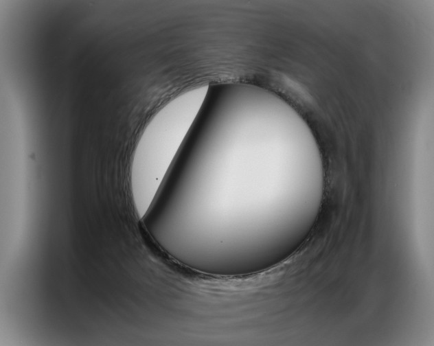 X0000087310025200704200727