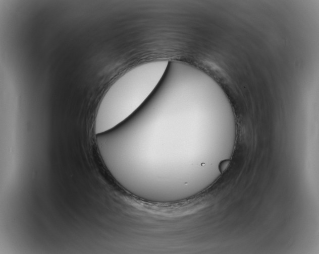 X0000087310026200704200727