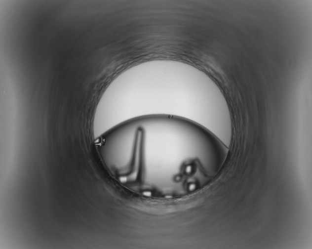 X0000087310029200704200727