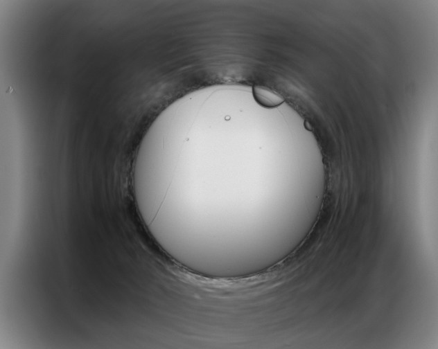 X0000087310030200704200727