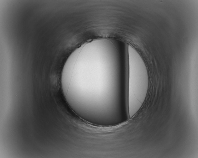 X0000087310031200704200727