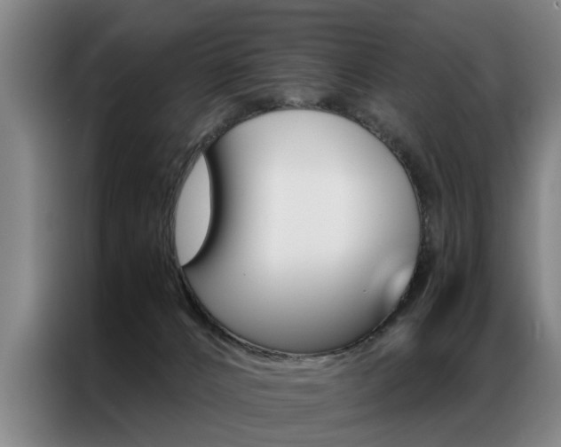 X0000087310032200704200727