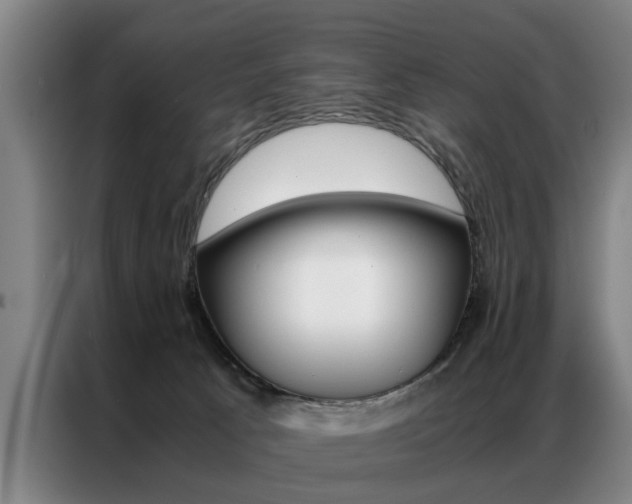 X0000087310033200704200727