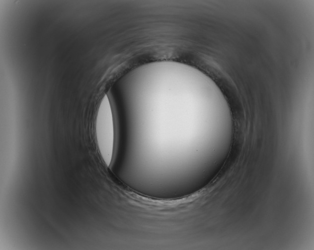 X0000087310035200704200727