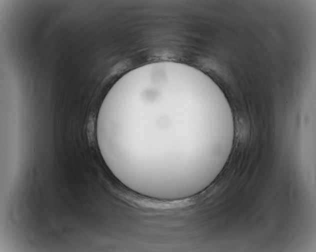 X0000087310036200704200727