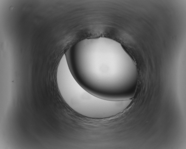 X0000087310037200704200727