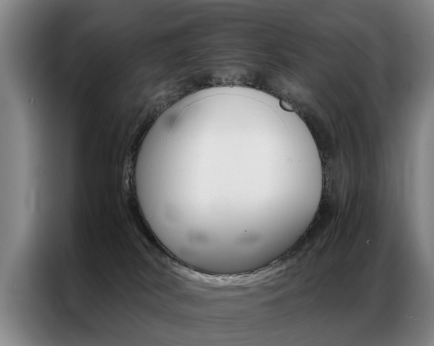 X0000087310038200704200727