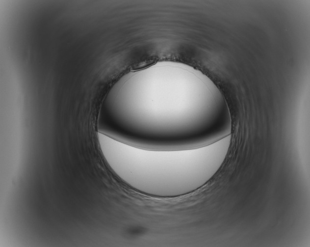 X0000087310039200704200727