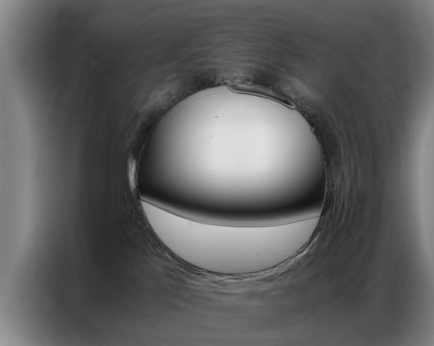X0000087310041200704200727