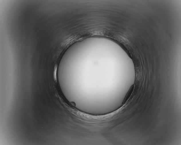 X0000087310047200704200727