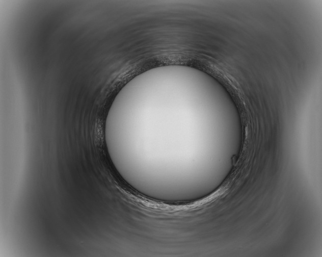 X0000087310048200704200727