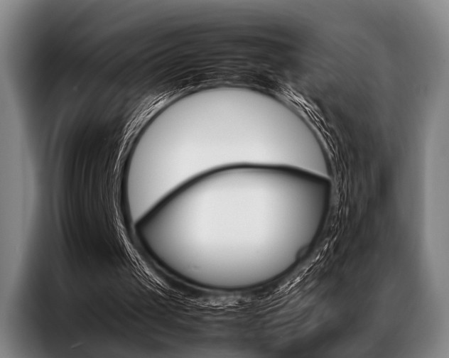 X0000087310049200704200726