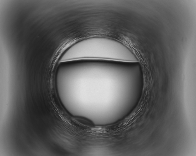 X0000087310050200704200726