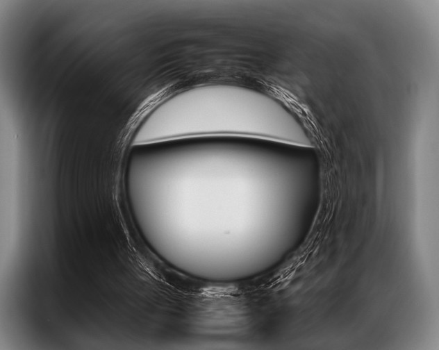 X0000087310051200704200726