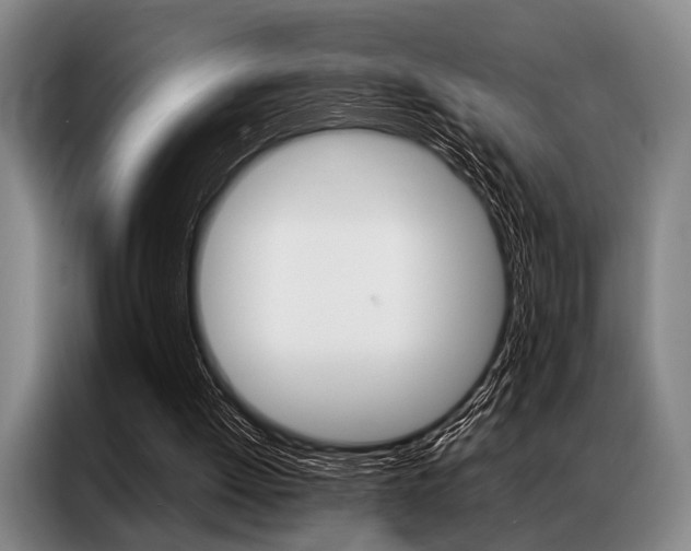 X0000087310052200704200726
