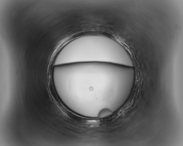 X0000087310053200704200726