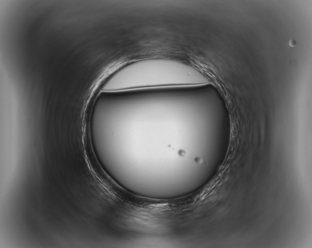 X0000087310054200704200726
