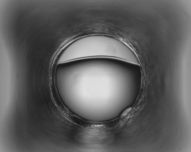 X0000087310055200704200726