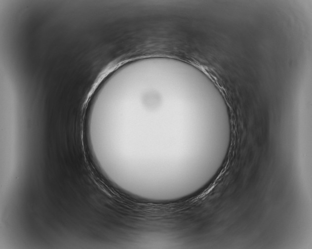 X0000087310056200704200726