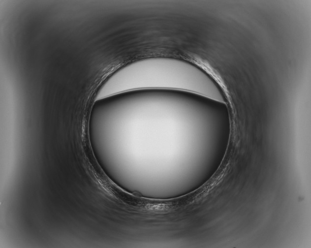 X0000087310057200704200726