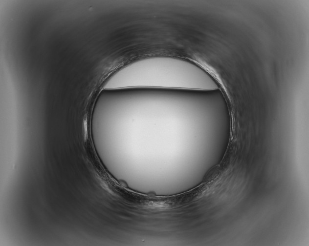 X0000087310061200704200727