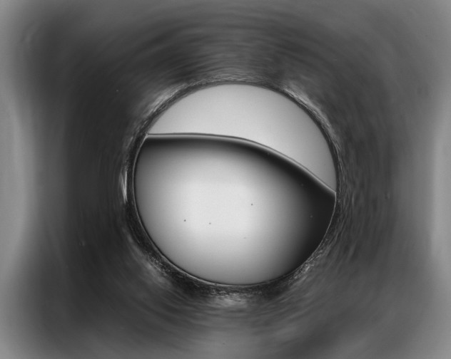 X0000087310062200704200727