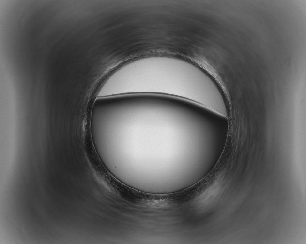 X0000087310063200704200727