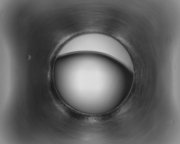 X0000087310064200704200727