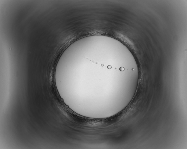 X0000087310065200704200727
