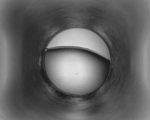 X0000087310066200704200727
