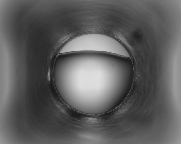 X0000087310068200704200727