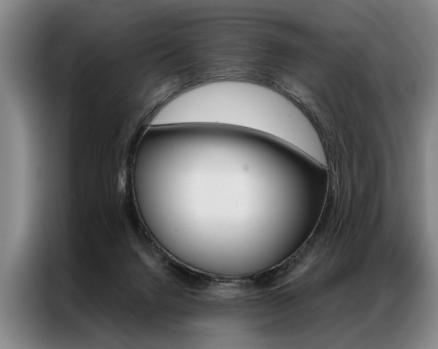 X0000087310072200704200727