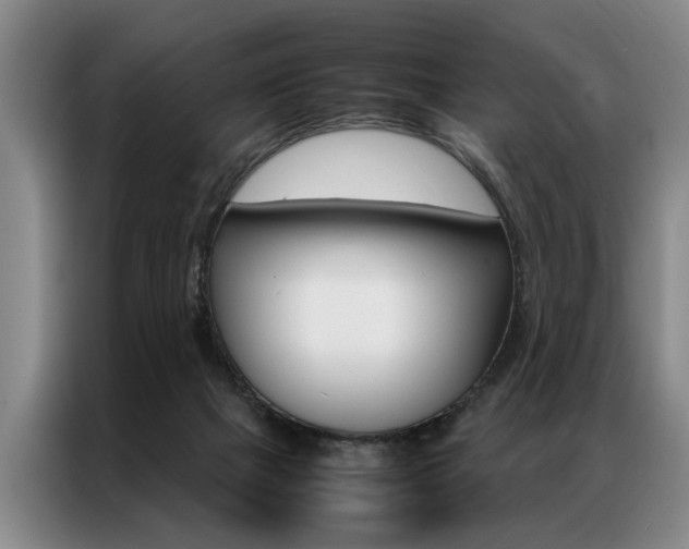 X0000087310073200704200727