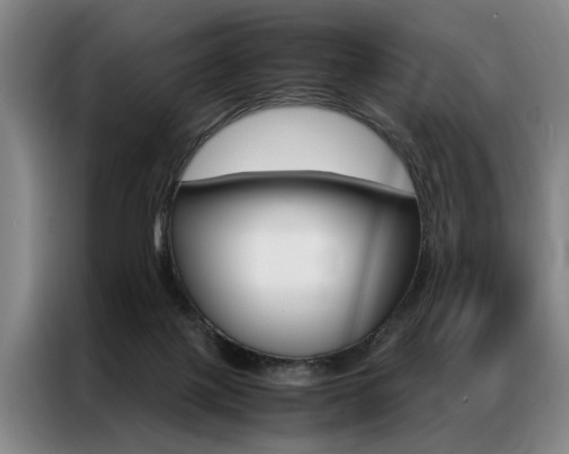 X0000087310075200704200727