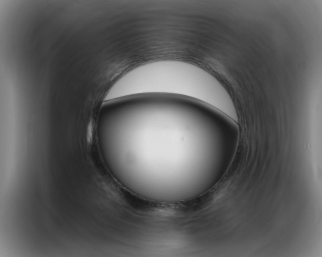 X0000087310076200704200727