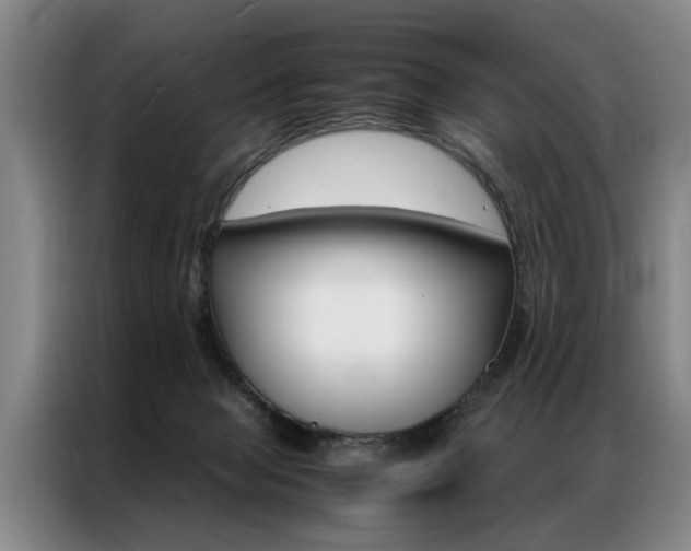 X0000087310077200704200727